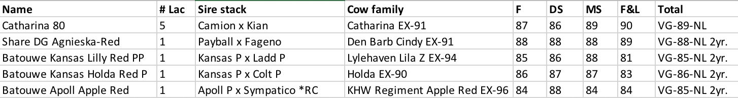 Terrific Average Red Holsteins At Batouwe 87 1